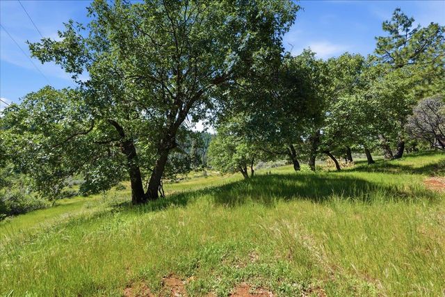 4057 Casselbarry Ct, Pollock Pines, CA 95726