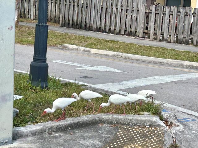 1412 NW 2nd Avenue, Fort Lauderdale, FL 33311