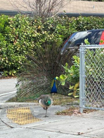 1412 NW 2nd Avenue, Fort Lauderdale, FL 33311