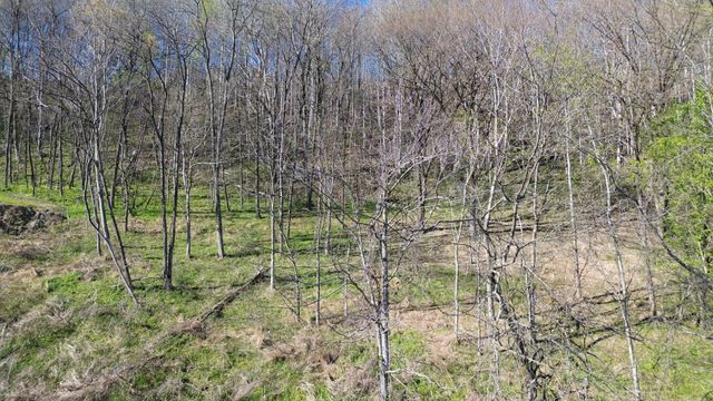 0 Blackberry Ridge Way, Smithville, TN 37166