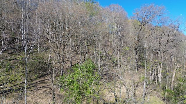 0 Blackberry Ridge Way, Smithville, TN 37166