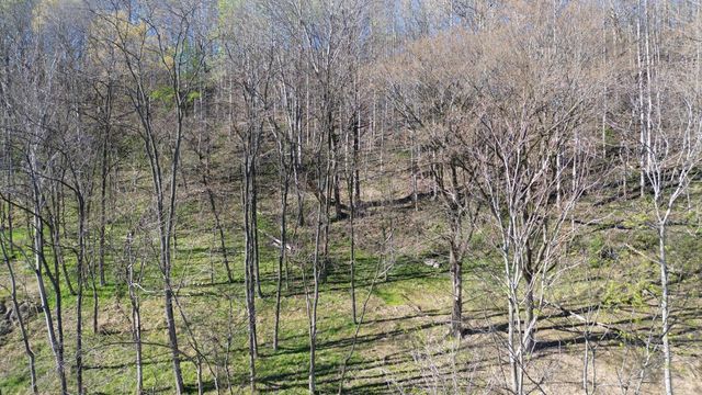 0 Blackberry Ridge Way, Smithville, TN 37166
