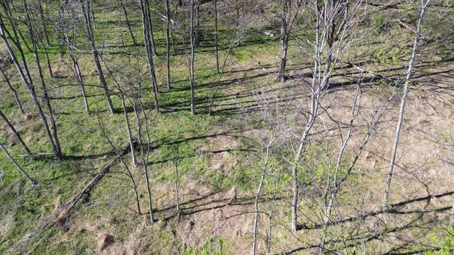 0 Blackberry Ridge Way, Smithville, TN 37166