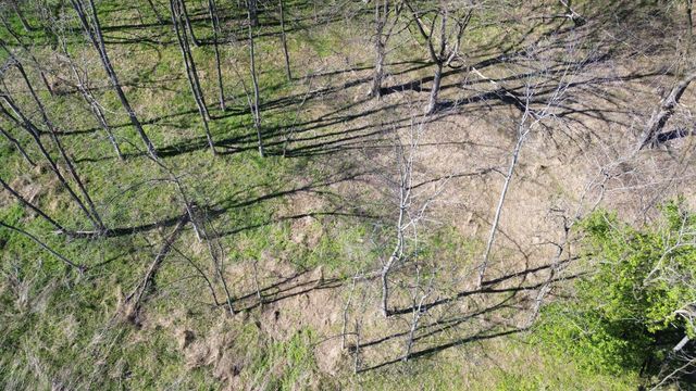 0 Blackberry Ridge Way, Smithville, TN 37166