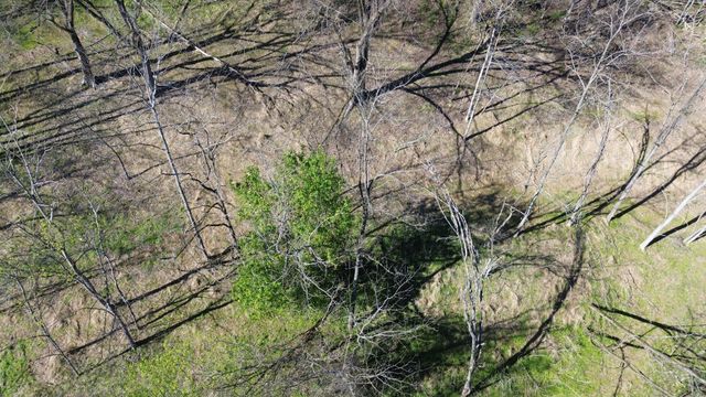 0 Blackberry Ridge Way, Smithville, TN 37166