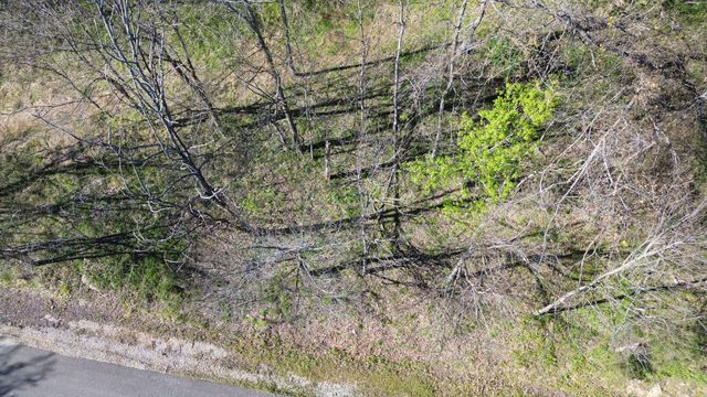 0 Blackberry Ridge Way, Smithville, TN 37166