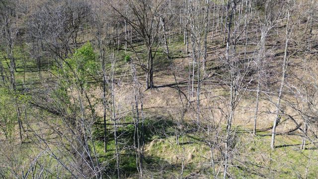 0 Blackberry Ridge Way, Smithville, TN 37166