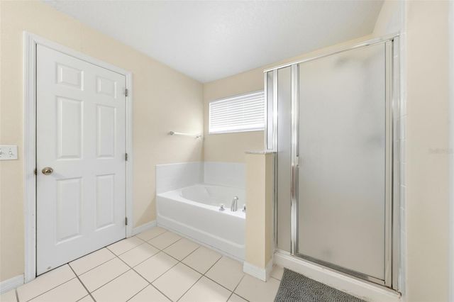 133 BAY LEAF LANE, Davenport, FL 33896