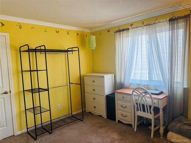 9882 Sylvestor Rd, Highlands Ranch, CO 80129