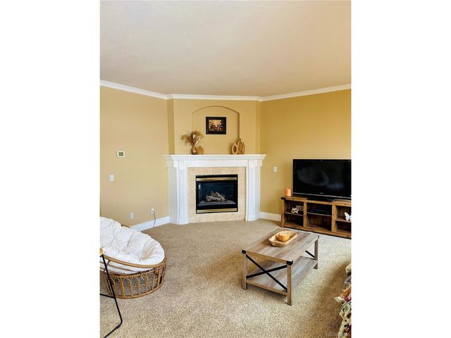 9882 Sylvestor Rd, Highlands Ranch, CO 80129