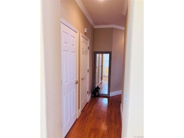 9882 Sylvestor Rd, Highlands Ranch, CO 80129