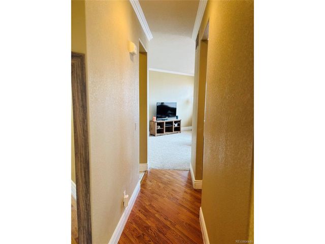 9882 Sylvestor Rd, Highlands Ranch, CO 80129