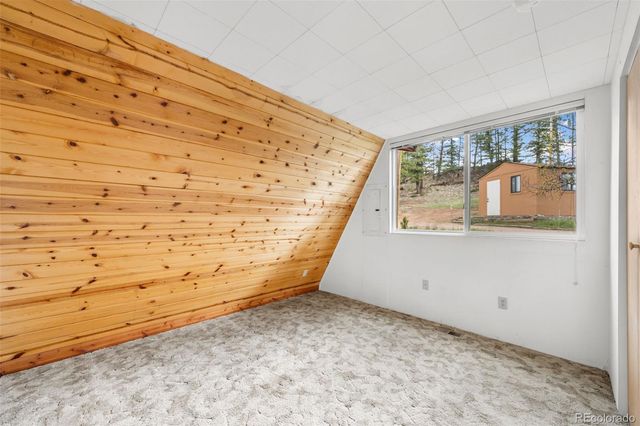 873 Trail Creek Road, Lake George, CO 80827