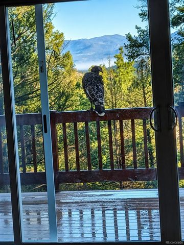 873 Trail Creek Road, Lake George, CO 80827