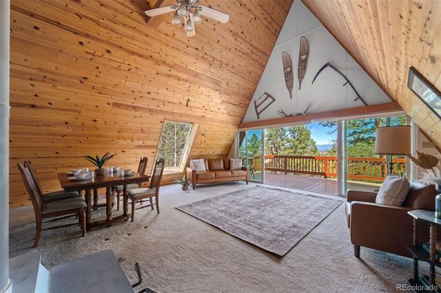 873 Trail Creek Road, Lake George, CO 80827