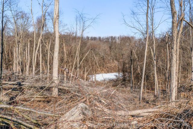 21125 Swafford Rd Road, Battle Creek, MI 49017