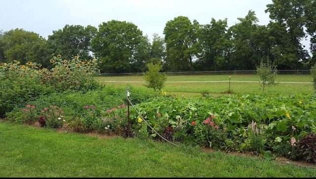 W4615 Highway 16, Rio, WI 53960