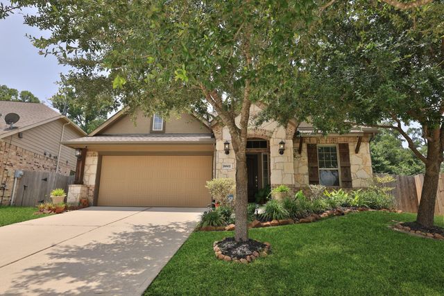 18802 Rosewood Terrace Drive, New Caney, TX 77357