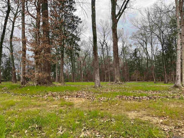 A1D1 Lemon Rd, Slaughter, LA 70777