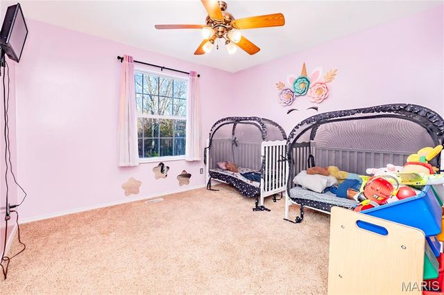 10249 Belew Creek Drive, Hillsboro, MO 63050