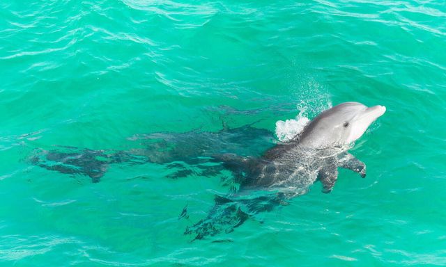 2873 Scenic Highway 98, Destin, FL 32541