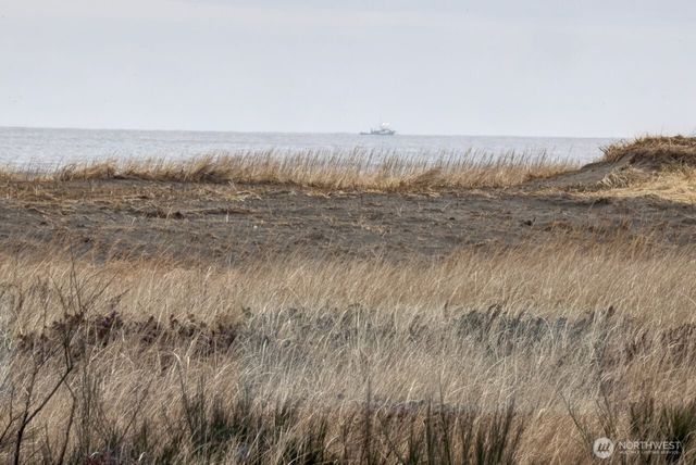 31905 G Street, Ocean Park, WA 98640