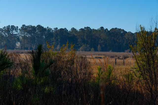 0 Rushland Landing Road, Johns Island, SC 29455