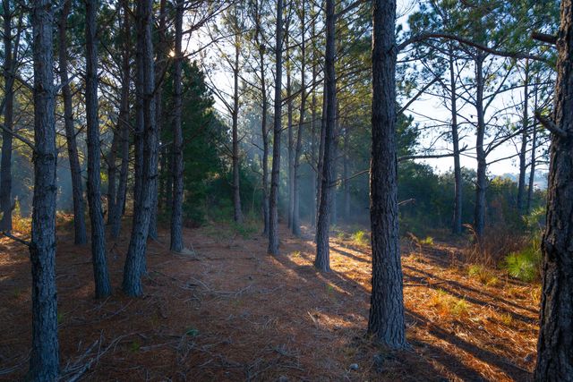 0 Rushland Landing Road, Johns Island, SC 29455