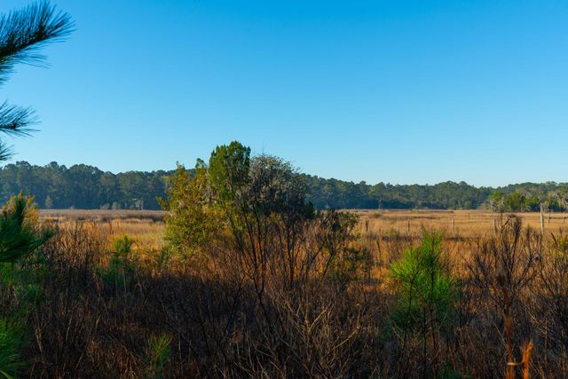 0 Rushland Landing Road, Johns Island, SC 29455