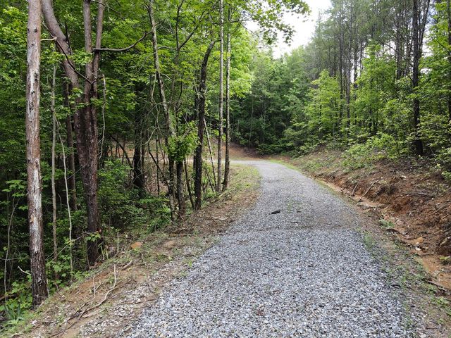 00 Stiles Road, Turtletown, TN 37391