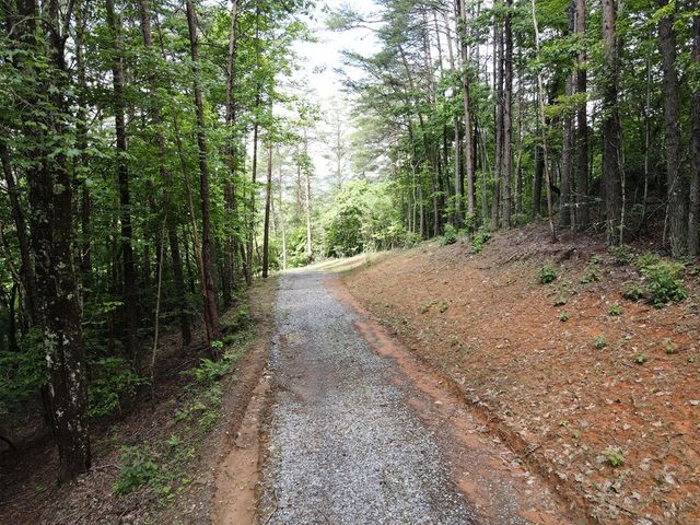 00 Stiles Road, Turtletown, TN 37391