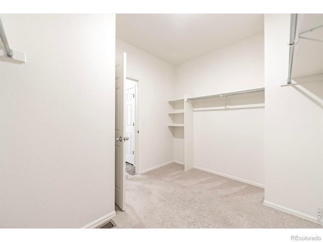 413 Harrow Street, Severance, CO 80550