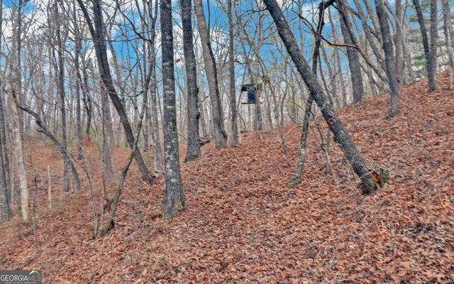 3256 Long branch Road, Dahlonega, GA 30533