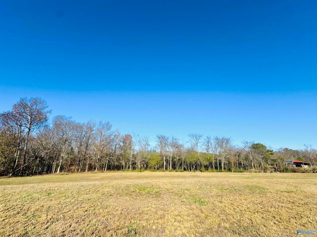 627 Neel School Road, Danville, AL 35619