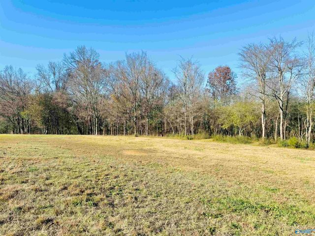 627 Neel School Road, Danville, AL 35619