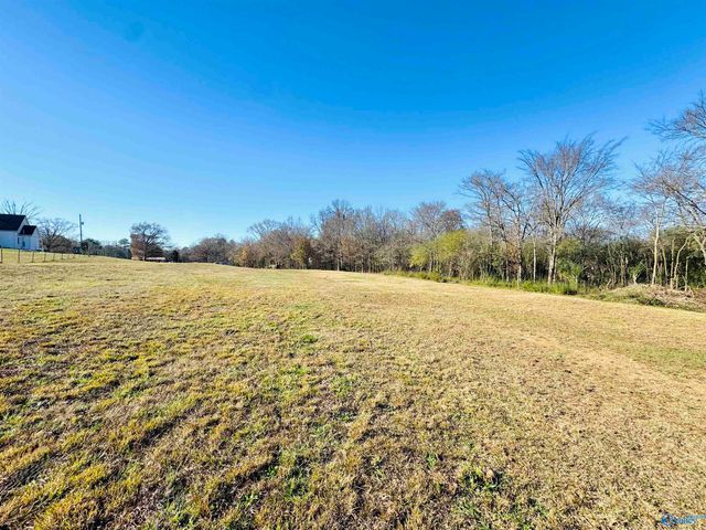 627 Neel School Road, Danville, AL 35619