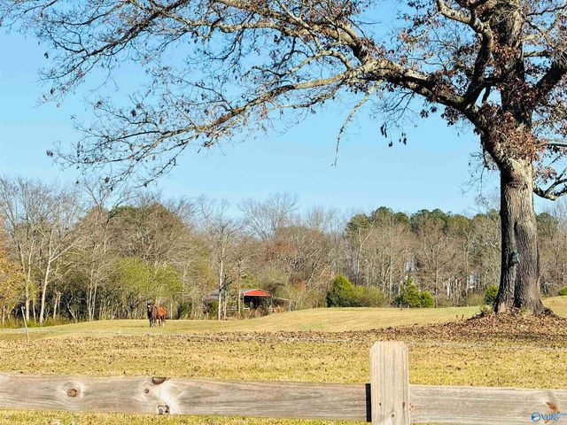 627 Neel School Road, Danville, AL 35619