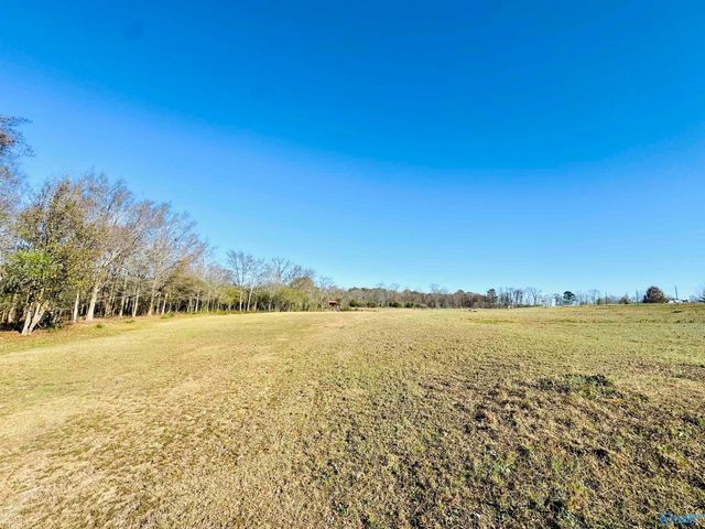 627 Neel School Road, Danville, AL 35619