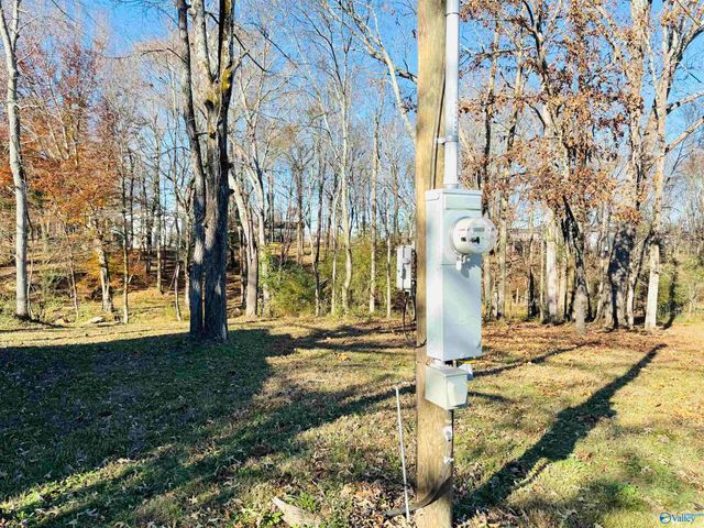 627 Neel School Road, Danville, AL 35619