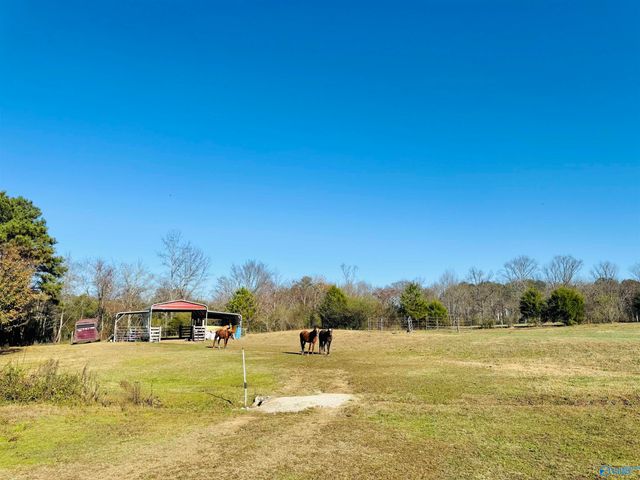 627 Neel School Road, Danville, AL 35619