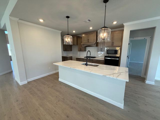 15183 Ty Marshall Court, College Station, TX 77845