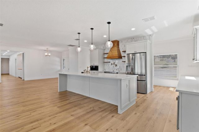 3020 INDIAN TRAIL, Eustis, FL 32726