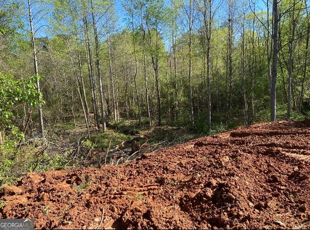 1993 Valley Woods Drive, Riverdale, GA 30296