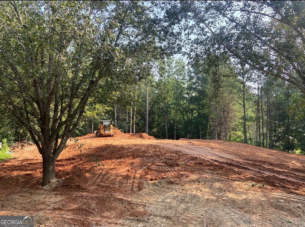 1993 Valley Woods Drive, Riverdale, GA 30296