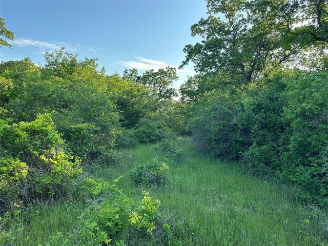 TBD County Road 1895, Sunset, TX 76270