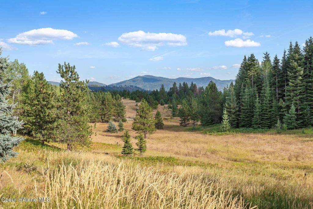 16155 N BUCKHORN RD, Hayden, ID 83835 photo 49