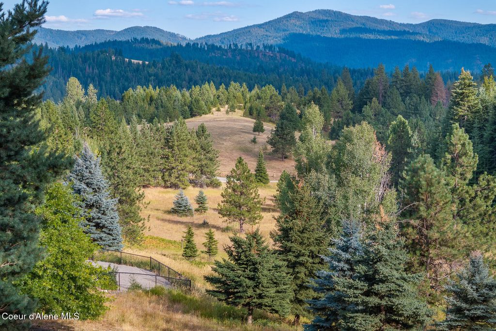 16155 N BUCKHORN RD, Hayden, ID 83835 photo 57