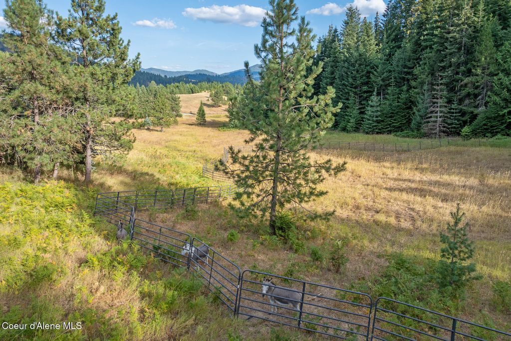 16155 N BUCKHORN RD, Hayden, ID 83835 photo 58