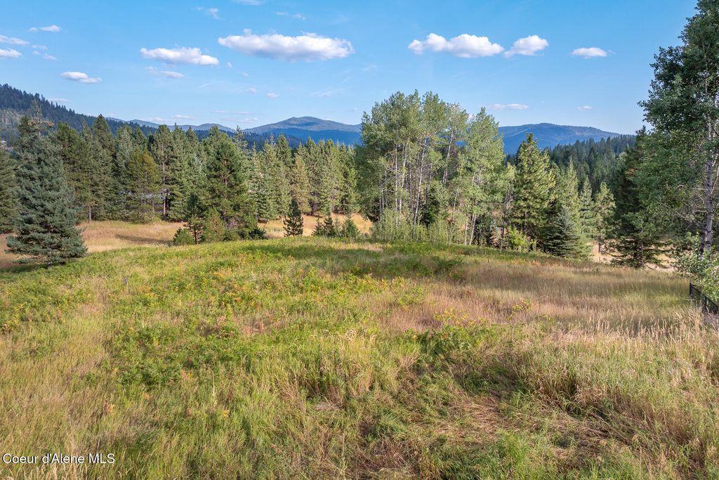 16155 N BUCKHORN RD, Hayden, ID 83835 photo 60