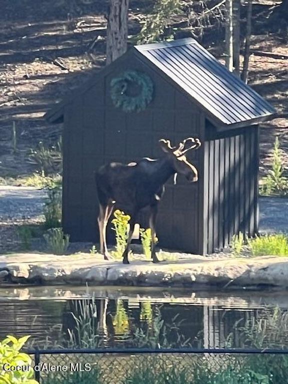 16155 N BUCKHORN RD, Hayden, ID 83835 photo 68